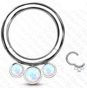 SEGMENTOVÉ KOLESO CLICKER 1,2/8 septum ucho TITÁN