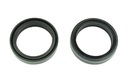 ATHENA OIL LAG SEALS 38X48X10