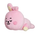 BT21 - Plyšový vankúšik 28 cm COOKY Baby