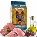 DIVINUS Performance 20kg suché krmivo pre ovčiarske psy