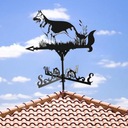 Weathervane 33-palcová korouhvička na streche statku