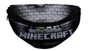 NÁSTENNÁ TAŠKA MINECRAFT, VZOR MC2T