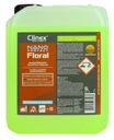 Clinex Nano Protect Floral 5L Na čistenie podláh