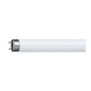 25x TUBE G13 18W 6500K 60cm PHILIPS