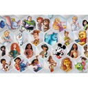 PUZZLE 300 HEROES DISNEY PRINCESS 8+ KOCIEK