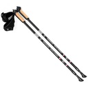 Palice NORDIC WALKING Čierne DURABLE Ľahké