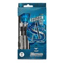 24 g Brány ASSASSIN 80% šípky s oceľovou špičkou 24 g