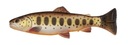 Savage Gear 3D Craft Trout Pulsetail 20cm 104g Bro