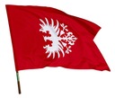 Vlajka Veľkopoľského povstania 112x70 cm BANNER Veľkopoľské povstanie