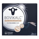 Bovikalc Bolus 4 ks Dvojfázový Calcium Bolus