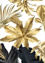 Monstera gold Plagát Plagáty B2 70x50cm Papier200