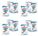 Royal Canin Mini Puppy Junior Puppies 48x85g