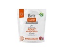 BRIT CARE HYPOALLERGENIC ADULT MEMEME LAMB 1kg