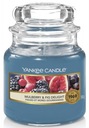 Yankee Candle MULBERRY & FIG DELIGHT 104g