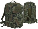 VOJENSKÝ BATOH TACTICAL DOMINATOR WARRIOR TOURIST PL CAMO WZ.93 36L