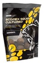 Nash Scopex Squid Cultured Hookbaits 18mm