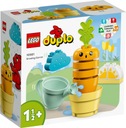 DUPLO BLOKY 10981 RASTÚCA MRKVA