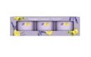 YANKEE CANDLE LEMON LAVENDER sada 3x37g