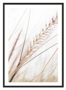 OBRAZOVÝ PLAGÁT V RÁME 33x43 cm Boho P2298