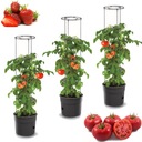 3x Kvetináč paradajky jahody uhorky paprika 39cm