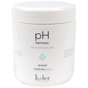 LECHER PH HARMONY okysľujúca maska ​​1000ml