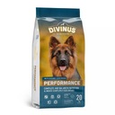 DIVINUS Performance 20kg suché krmivo pre ovčiarske psy