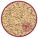 Pale Ale Malt 5kg - Viking Malt Home Beer