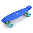 FISHBOARD SKATEBOARD PLASTOVÝ METEOR SKATEBOARD