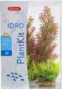 ZOLUX PLANTKIT IDRO N°1 Akvarijné rastliny