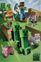 Minecraft detská deka 100 x 150cm Halantex viacfarebná Steve Creeper