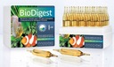 PRODIBIO BIODIGEST 30 AMPULÍ