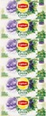 Lipton Herbs of the World Cistus čaj s bobuľami 20 x 6 vrecúšok