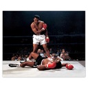 Plagáty 50x40 Muhammad Ali Boxer Fighting