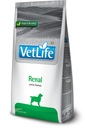 Farmina Vet Life RENAL DOG ​​​​2 kg