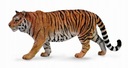 SIBERIAN TIGER - CollectA - 88789 - XL