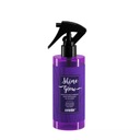 Anwen SHINE & GLOW Smoothing Mist 150 ml