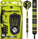 Šípky Šípky Winmau MvG Ambition Steeltip 22g