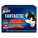 Felix Fantastic Wiejskie Smaki v želé vrecúškach 48x85g (44+4 zadarmo)