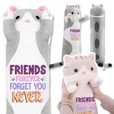 Teddy Bear maskot Long Cat Grey FRIENDS FOREVER Vzor