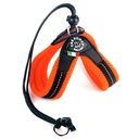 POSTROJ pre malého psíka maltézskeho psíka York 30-40cm TRE PONTI Orange SOFT