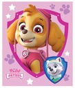 DEKA PAW PATROL 100x140 DEKA SKYE EVEREST