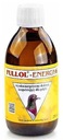 FULLOL - ENERGY 6 vysokoenergetický doplnok 250ml