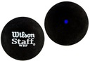 Squashová lopta Wilson Staff Ball BL DOT sky