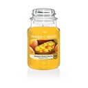 Sviečka Mango Peach Salsa Yankee Candle - Veľká sviečka