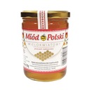 APIS poľský viackvetový med 550 g