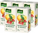 Vitax ovocný čaj jahoda a mango 100ks x2g