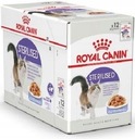 Royal Canin Sterilizované v želé 12 x 85 g