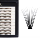 MANY BEAUTY 14D SUPERBLACK MASTER BOX CC EYELASHES 8-14MM