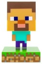 Svetlo ikony Minecraft Steve / Minecraft Steve