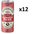 Fentimans Ginger Beer plechovka 250ml x 12ks. SET